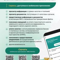 Мобильное приложение 